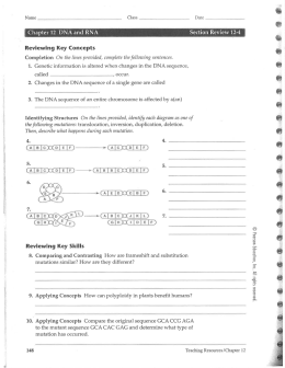 Chapter 12 DNA and RNA Section Review 12-4