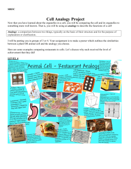 Cell Analogy Project