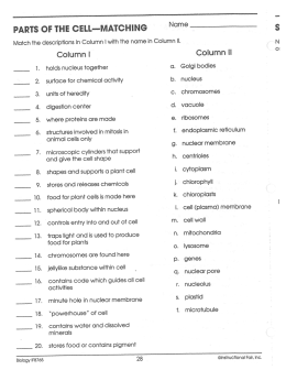 Column 1 Column 11 0`