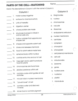 PARTS OF THE CELL—MATCHING Name