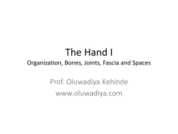 The Hand - Oluwadiya`s