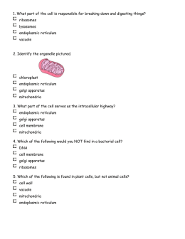 1. What part of the cell is responsible for breaking