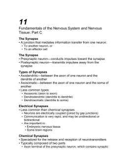 Fundamentals of the Nervous System and Nervous Tissue: Part C