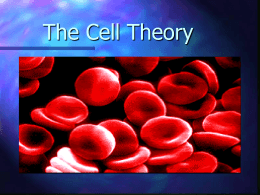 The Cell Theory powerpoint