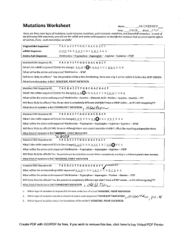 Mutatlons Worksheet 7 Name: ANSWER KEY
