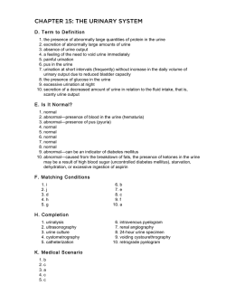 chapter 15: the urinary system - The ICD