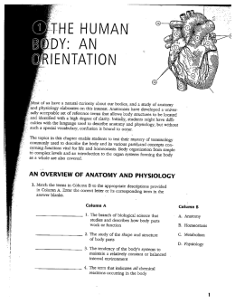 Page 1 iTHE HUMAN DY: AN |ENTATION Most of us have a natural