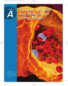 Tissues, Organs, and Systems of Living Things Tissues, Organs, and