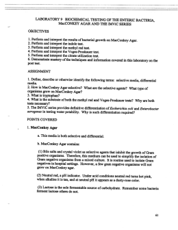 Biochemical Testing of the Enteric Bacteria