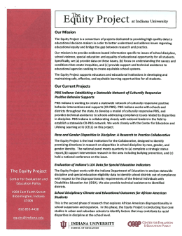 The Equity Project - Indiana Disproportionality Committee