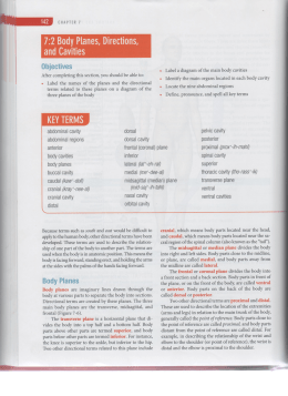 7:2 Body Planes, Directions