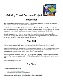 Cell City Travel Brochure Project Introduction Your Task The Steps