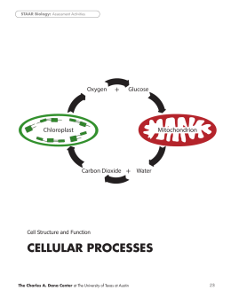 Cell Structure and Function: Cellular Processes
