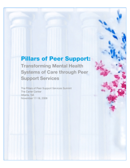 Pillars of Peer Support Services