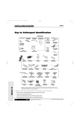 Key to Arthropod Identification