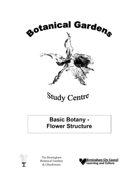 Basic Botany - Flower Structure
