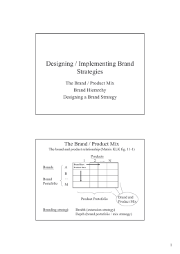 Designing / Implementing Brand Strategies