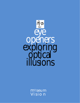 Exploring Optical Illusions