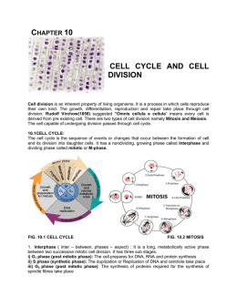 cell cycle and cell division