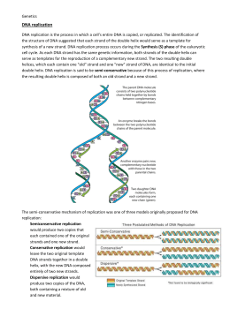 DNA replication