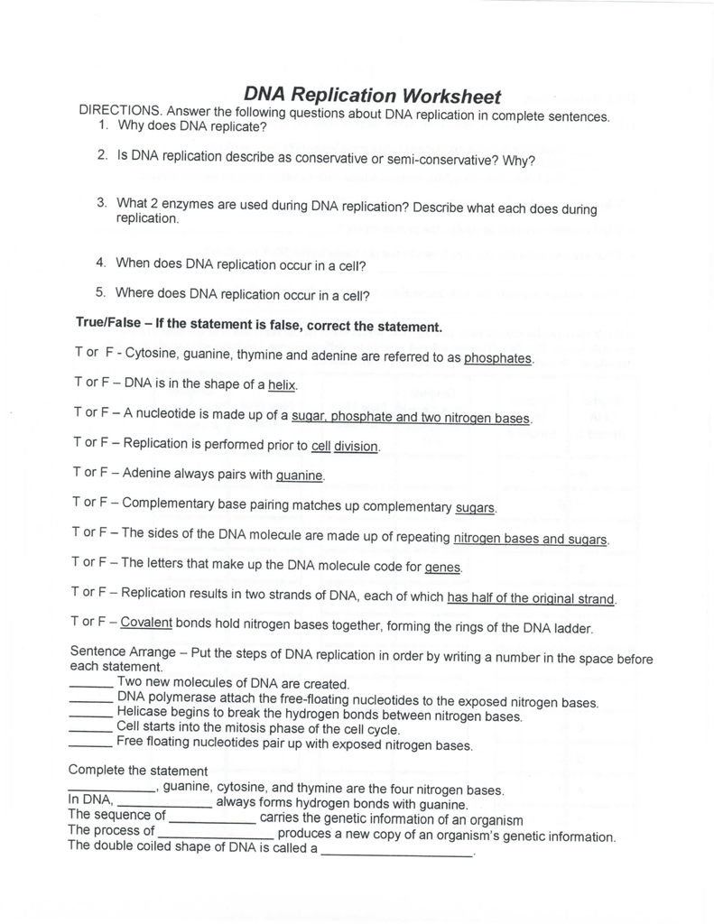 DNA Replication Worksheet With Regard To Dna And Replication Worksheet