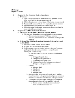 AP Biology Chapter 16 Notes: I. Chapter 16: The Molecular Basis of