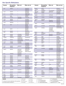 Site-Specific Methylation