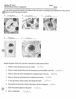 Answer Key
