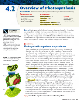 4.2 Overview of Photosynthesis Textbook Lesson