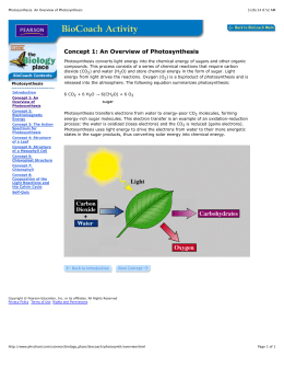 Photosynthesis: An Overview of Photosynthesis