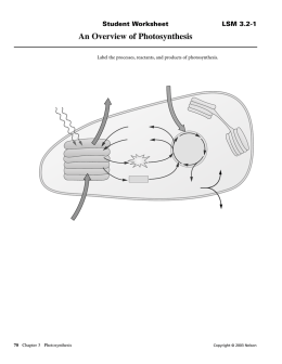 An Overview of Photosynthesis, Solution