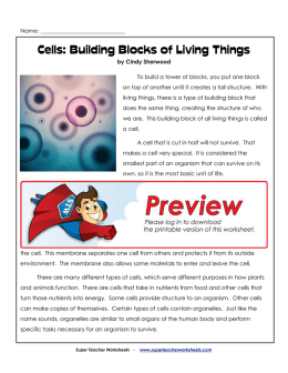 Cells: Building Blocks of Living Things