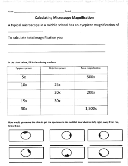 Calculating Microscope Magnification A typical microscope in a