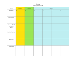 Biology - Six Kingdoms chart