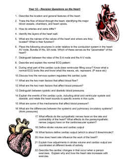 Sketch right or left heart pressures (atrial, ventricular, and pulmonary