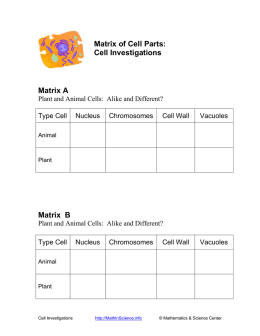 Plant and Animal Cells: Alike and Different