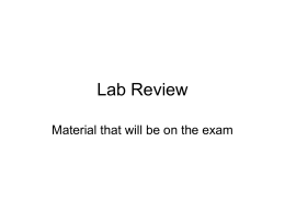 Lab Review