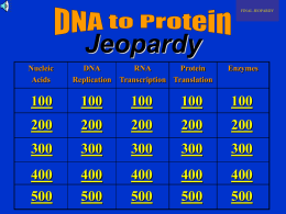 DNA-RNA-Protein Synthesis Jeopardy