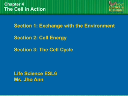Ch4 The cell in action ppt