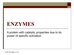 Powerpoint Presentation: Enzymes