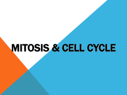 Chapter *8* Cellular Transport and the Cell Cycle