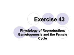 Exercise 43 Reproductive Physiology