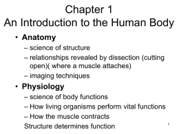 Chapter 1 An Introduction to the Human Body