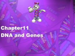 Chapter11 DNA and Genes