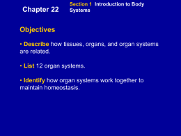 Section 3 The Muscular System