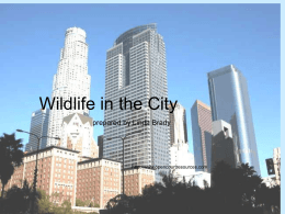 City Wildlife Unit Opener