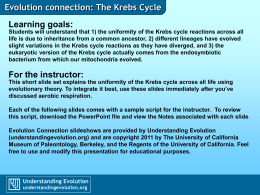 Evolution connection: The Krebs Cycle
