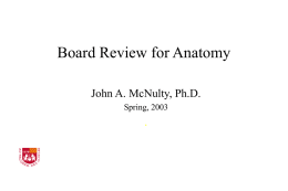 Board Review for Anatomy - Stritch School of Medicine