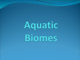 Aquatic Biomes PPT