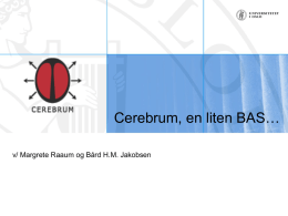20060119-Cerebrum-BA..